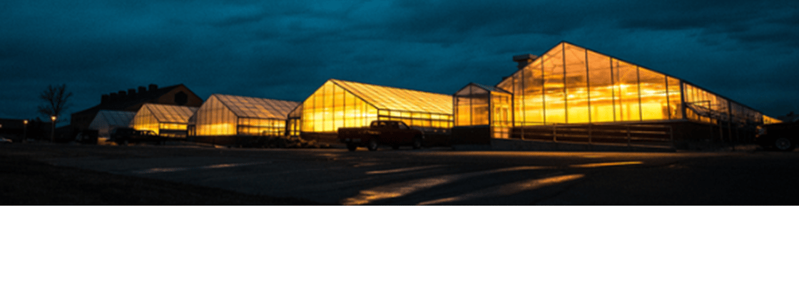 greenhouse